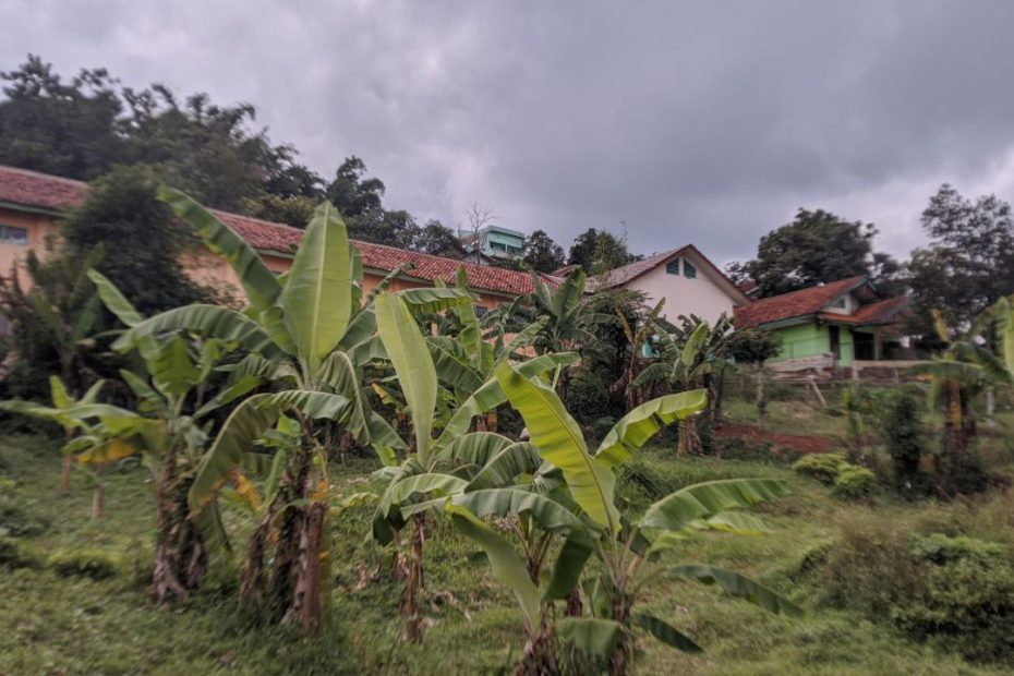 Naisar Garden